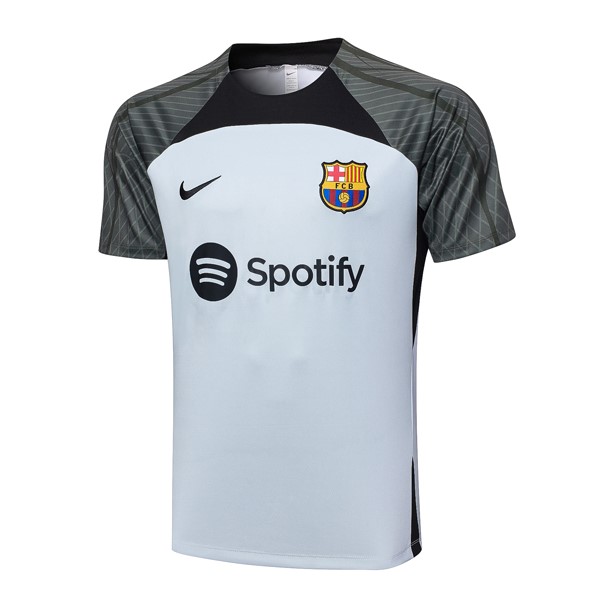 Camiseta Entrenamiento Barcelona 2024 Gris